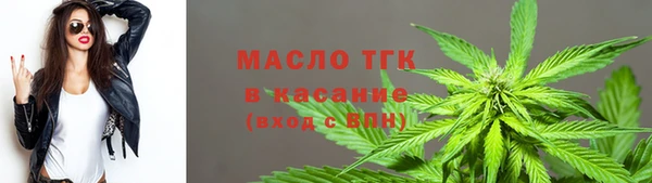 spice Инсар