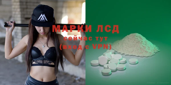 spice Инсар