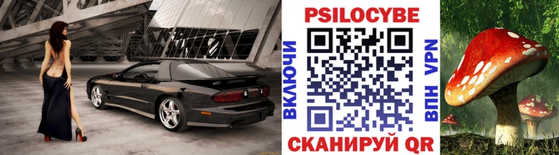 наркота  OMG   Псилоцибиновые грибы Psilocybine cubensis  Лаишево 